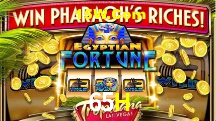 Campos de e-mail e senha na entrada da conta 65H